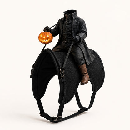 Nuvaro Midnight Rider Cat Costume