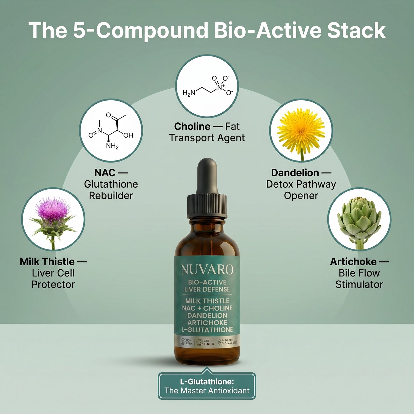 Nuvaro Bio-Active Liver Defense
